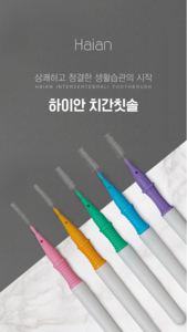 치석제거와 잇몸 관리 최적화 하이안 치간칫솔(5p)